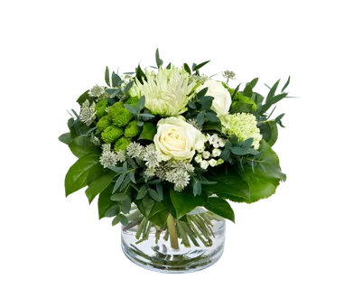 植物盆栽免抠png