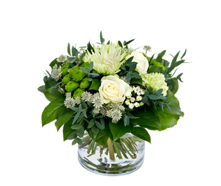 植物盆栽免抠png