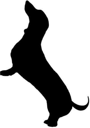 腊肠犬 PNG免抠(351x500)