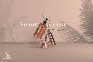 包装智能贴图样机VI效果PSD素材