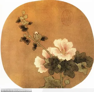 水墨画—白牡丹 水墨画—白牡丹