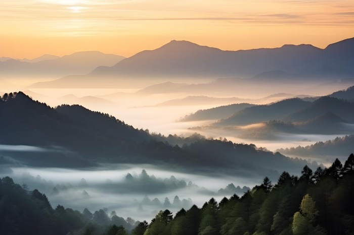 山脉树林高空摄影