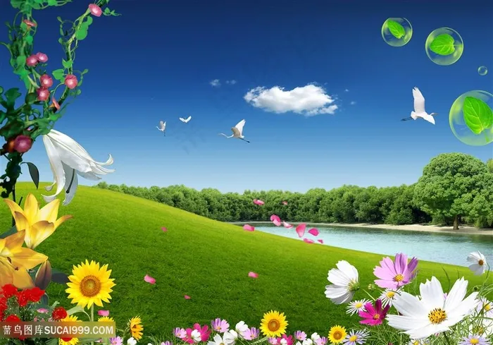 唯美花卉草地湖畔韩式自然背景
