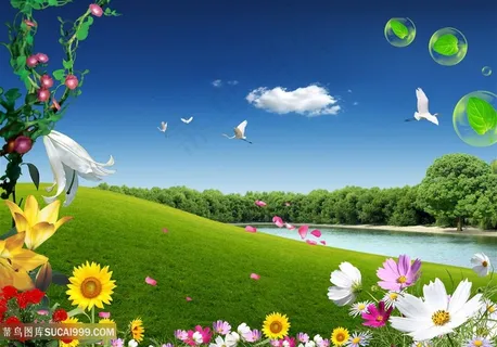 唯美花卉草地湖畔韩式自然背景 唯美花卉草地湖畔韩式自然背景