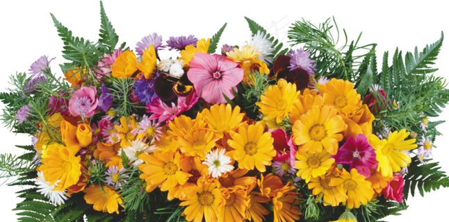 花饰和花束  花饰和花束