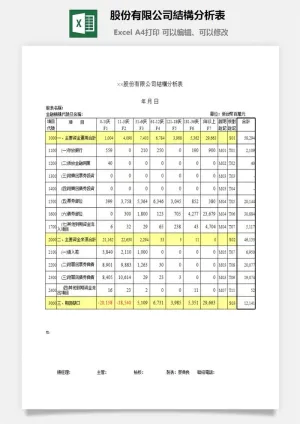 股份有限公司結構分析表excel模板