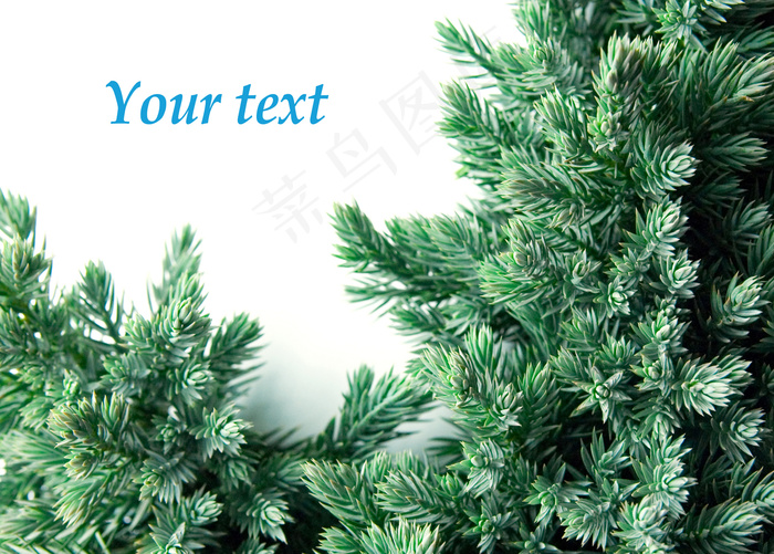 圣诞树卡片图片下载