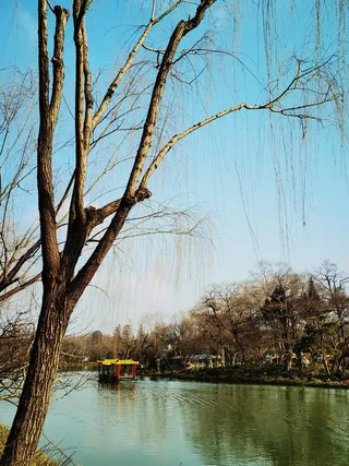冬季杨柳瘦西湖画舫