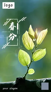 春分节气海报 春分节气海报
