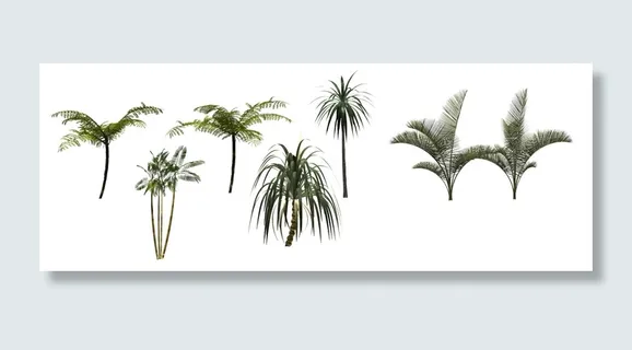 高清树木素材 免抠PSD植物素材 美术绘画园林贴图 树草灌木花草