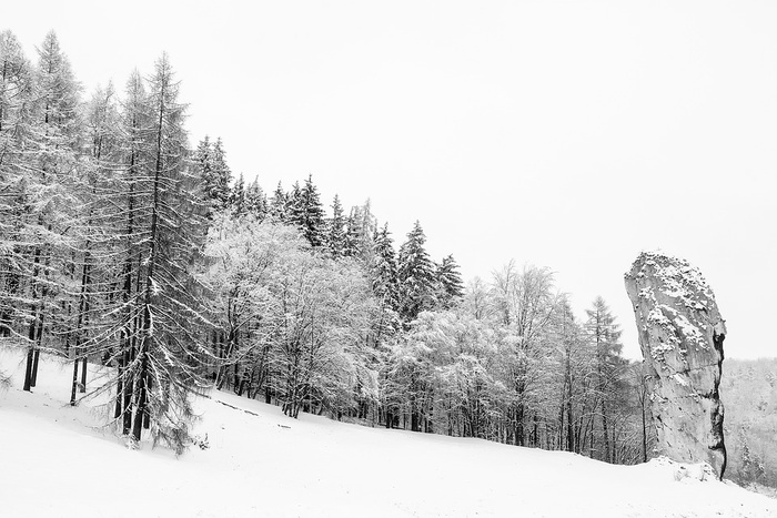 冬天白雪背景风景