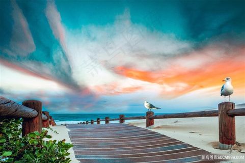 唯美的海边摄影