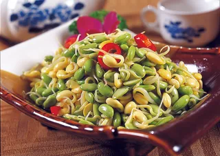 0911LCS-684农家豆芽