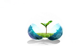 麦苗地球现代农业