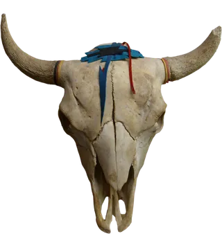 牛角素材实物摆件