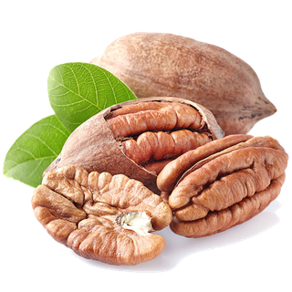 64碧根果2干果超市商品白底图免抠实物摄影png格式图片透明底