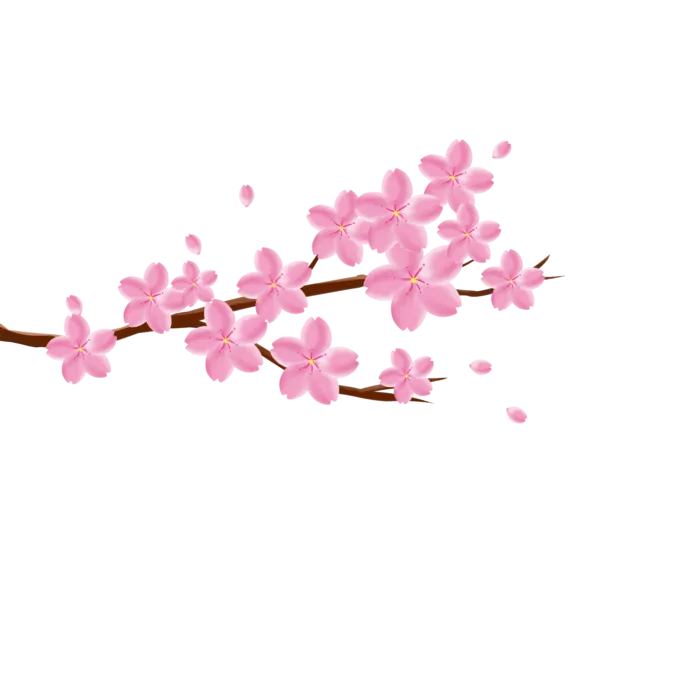 春天浪漫粉红色樱花手绘樱花梅花桃花花朵图片PNG免扣素材