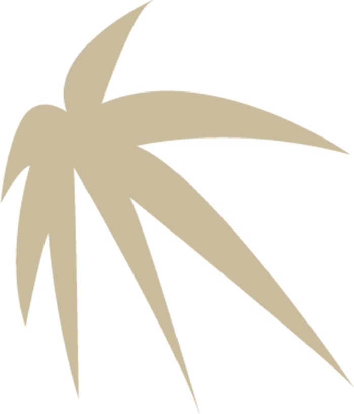 枫叶树叶手绘免扣