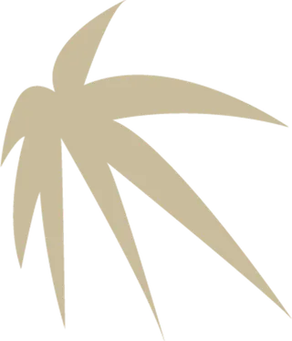 枫叶树叶手绘免扣