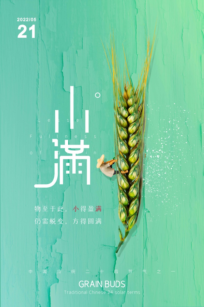 小满 小满活动海报psd模版下载