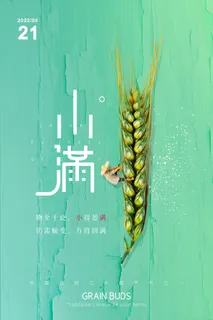 小满 小满活动海报 小满 小满活动海报