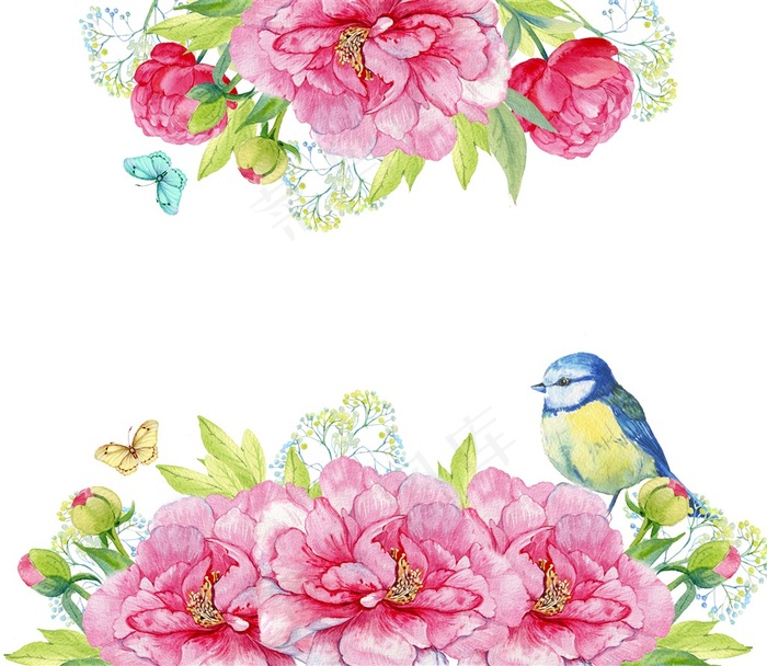 水彩手绘花朵上的小鸟和蝴蝶高清图片