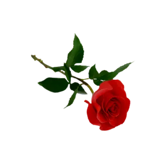 鲜花玫瑰免扣素材