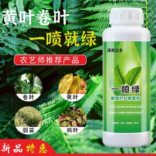 绿色简约风瓶装农药一喷绿主图