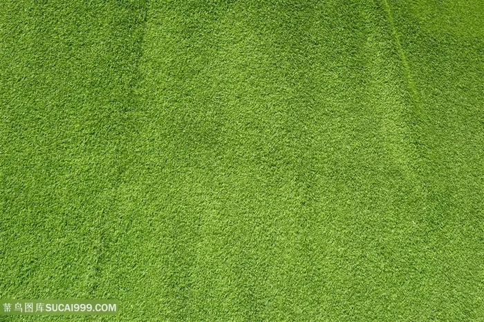 葱郁草坪背景高清图片