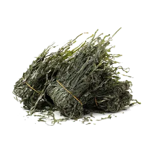 头足类(13)海鲜超市商品红酒白底图免抠实物摄影png格式图片透明底