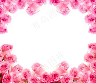 玫瑰花相框素材图片