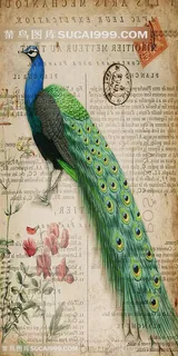 古典孔雀装饰画