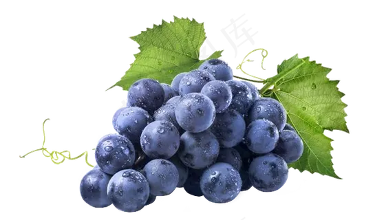 水果免扣png素材