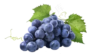 水果免扣png素材