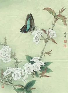 梨花蛱蝶图工笔画 梨花蛱蝶图工笔画
