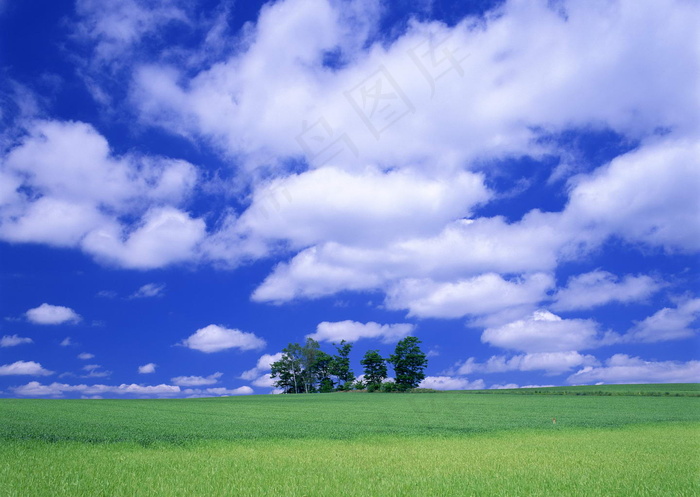 清澈天空草原背景云层云彩