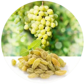 葡萄免扣素材、葡萄干抠图素材