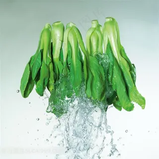 落入水中的菠菜青菜高清动态摄影 落入水中的菠菜青菜高清动态摄影