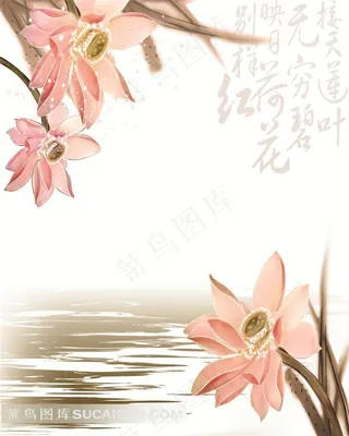 装饰画背景画无框画荷花