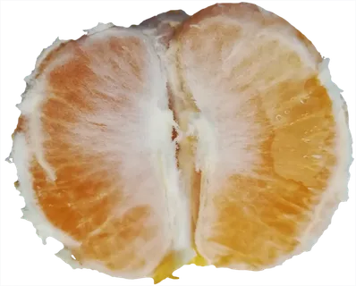 桔子椪柑橘子柑橘耙耙柑免抠摄影元素素材