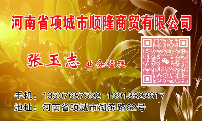 张玉志  200张名片psd模版下载