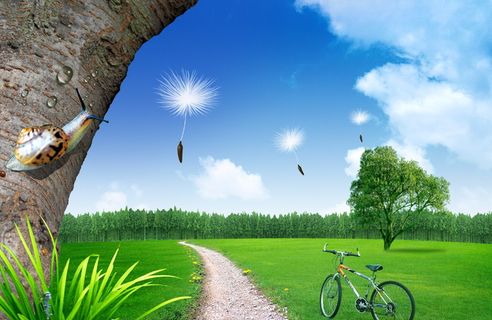 韩式自然背景 (39)