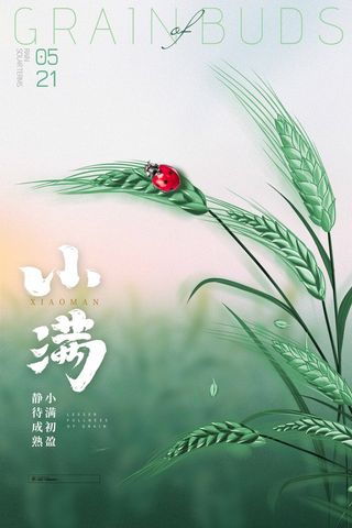 小满 小满活动宣传