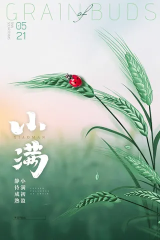 小满 小满活动宣传