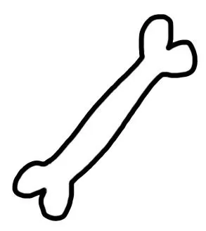 骨头 PNG免抠(293x328)