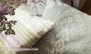 欧美室内效果图亲和