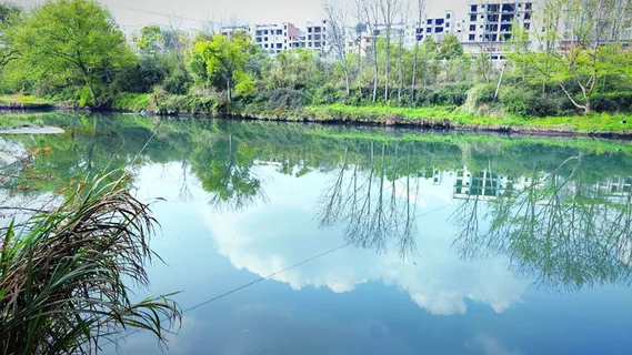 水边绿荫倒影-3