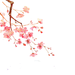 中国风国画水墨花卉素材