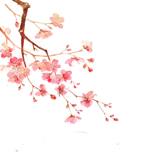 中国风国画水墨花卉素材