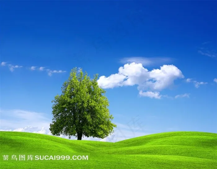 草地天空风景高清图片下载